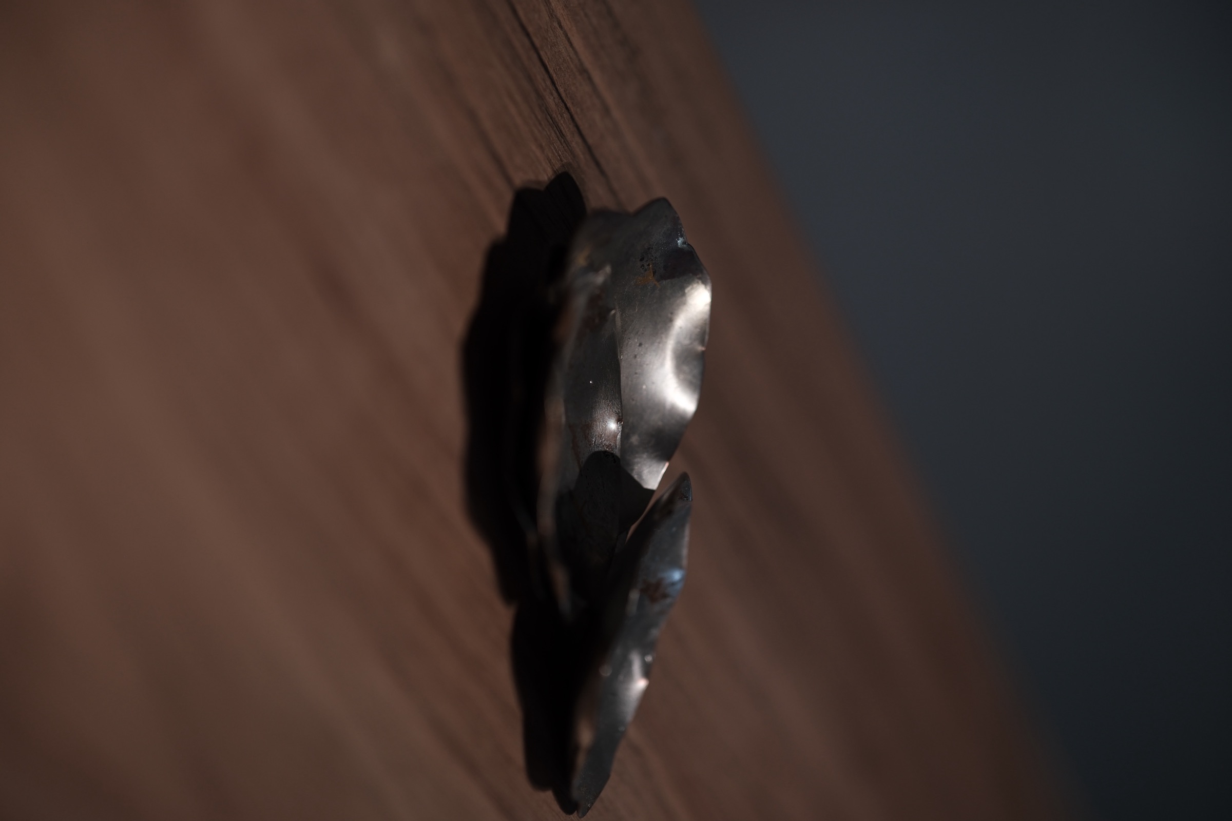 Object photograph in a mobile frame